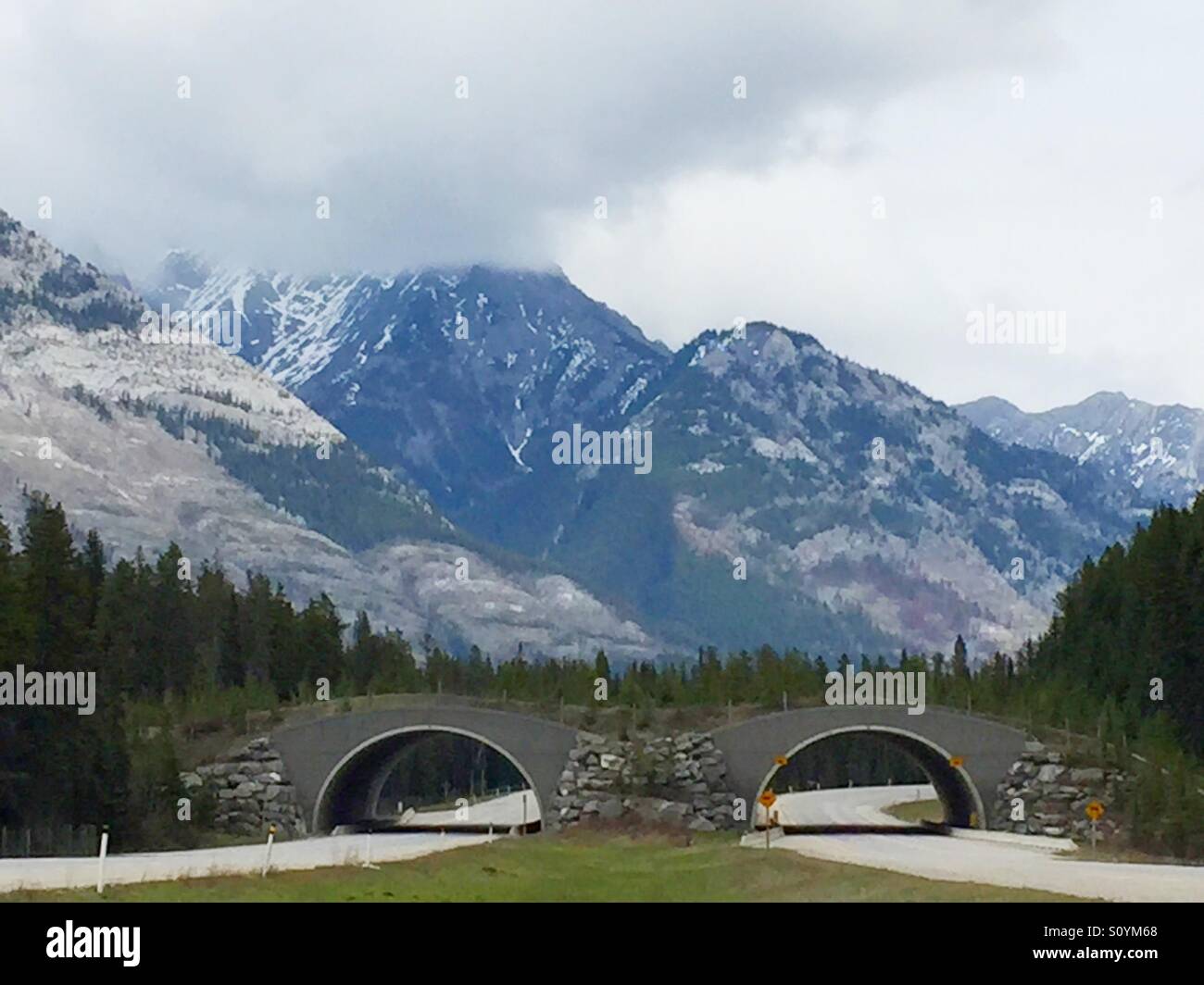 Tierwelt-Überführung in Banff Nationalpark, Alberta, Kanada - Smartphone-aufgenommenes Stockfoto