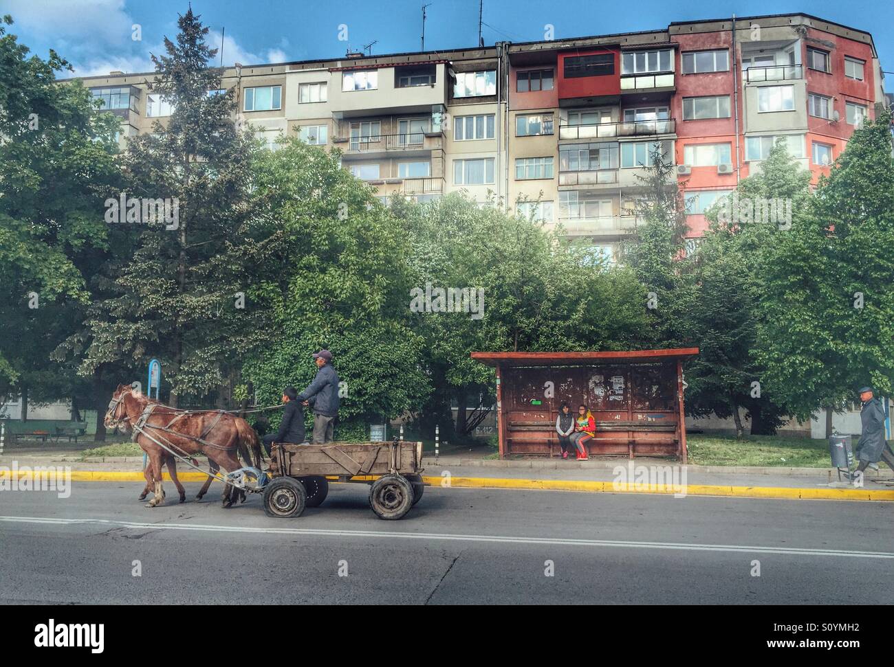 Zigeuner auf einem Wagen Bulgarien Sofia Stockfoto