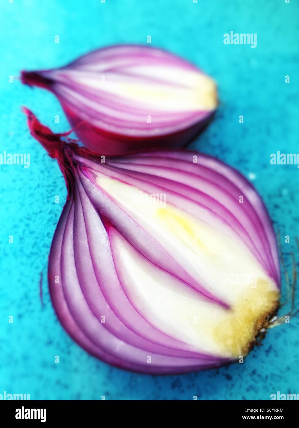 Rote Zwiebel schneiden auf blauem Stein Arbeitsfläche Stockfoto