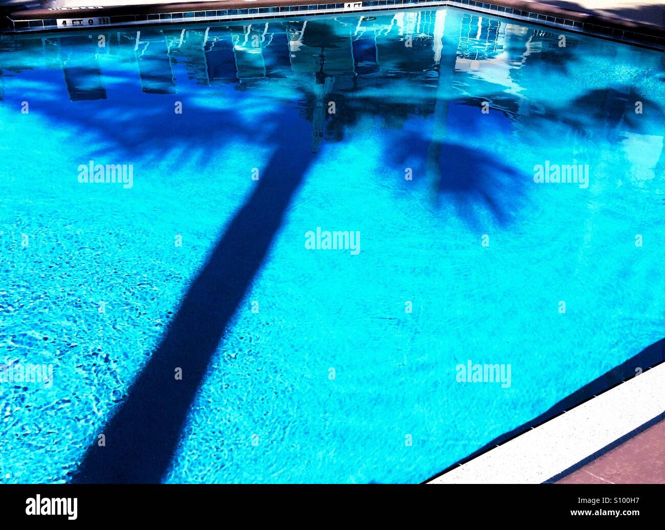 Palm Tree Schatten über klaren, türkisfarbenen blauen pool Stockfoto