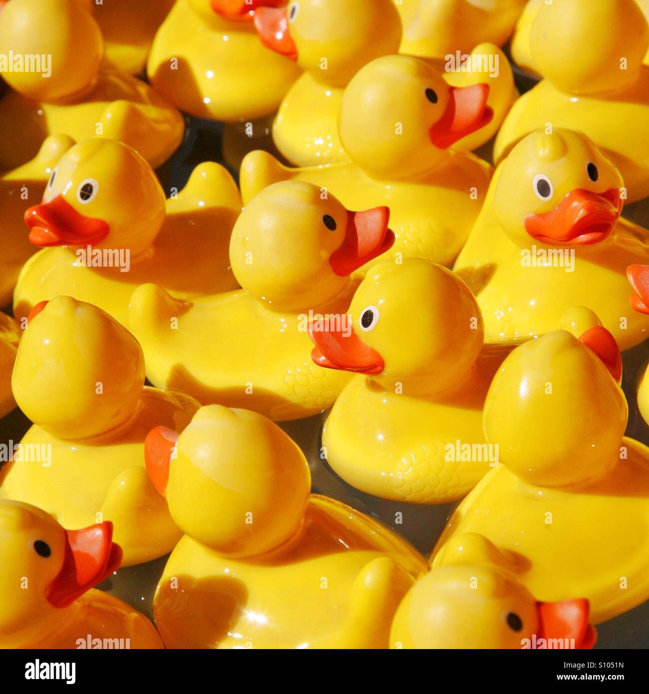 Helles Gelb Kautschuk Enten in Haken eine Ente Spiel Stockfoto