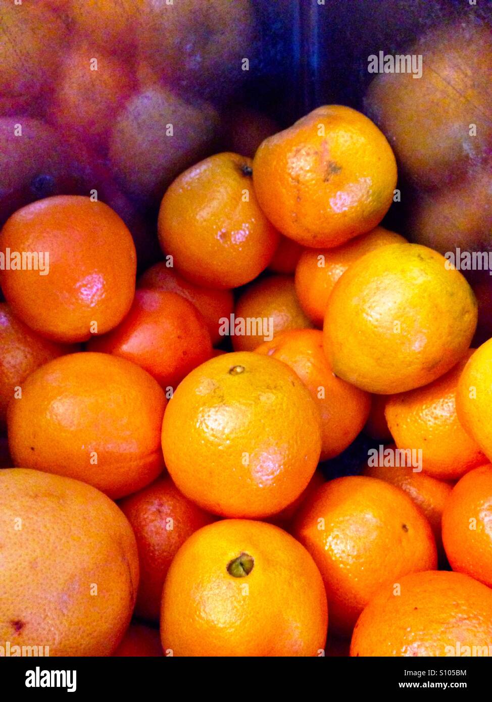 Bio-Orangen - Smartphone-aufgenommenes Stockfoto