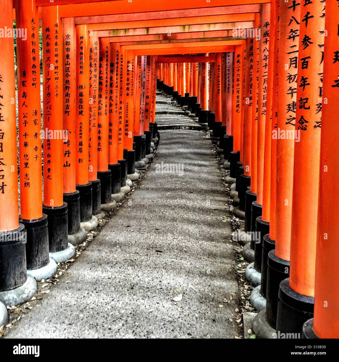 Torii Tor Tunnel im Fushimi Inari-Schrein in Kyoto Japan Stockfoto