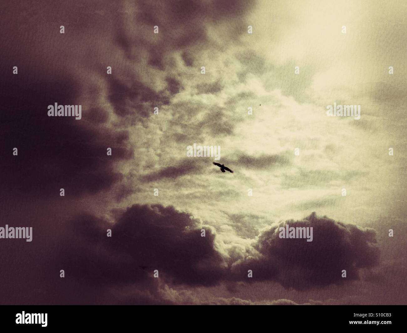 Freiheit - Smartphone-aufgenommenes Stockfoto