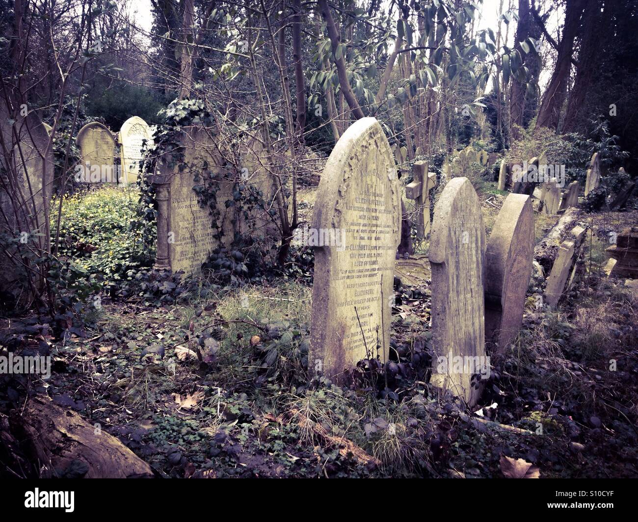 Highgate Cemetery Stockfoto