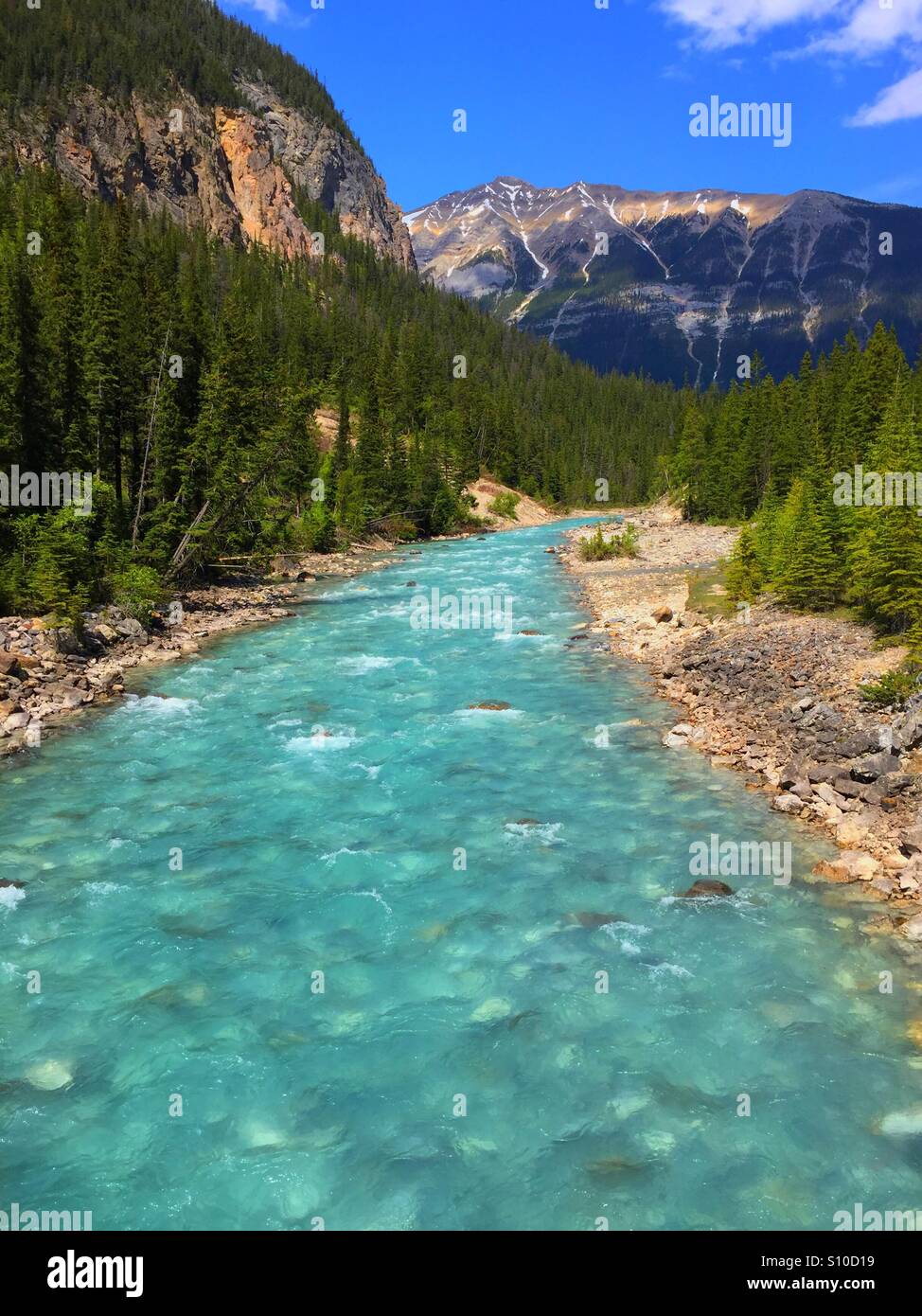 Yoho River im Yoho-Nationalpark, BC. Kanada - Smartphone-aufgenommenes Stockfoto