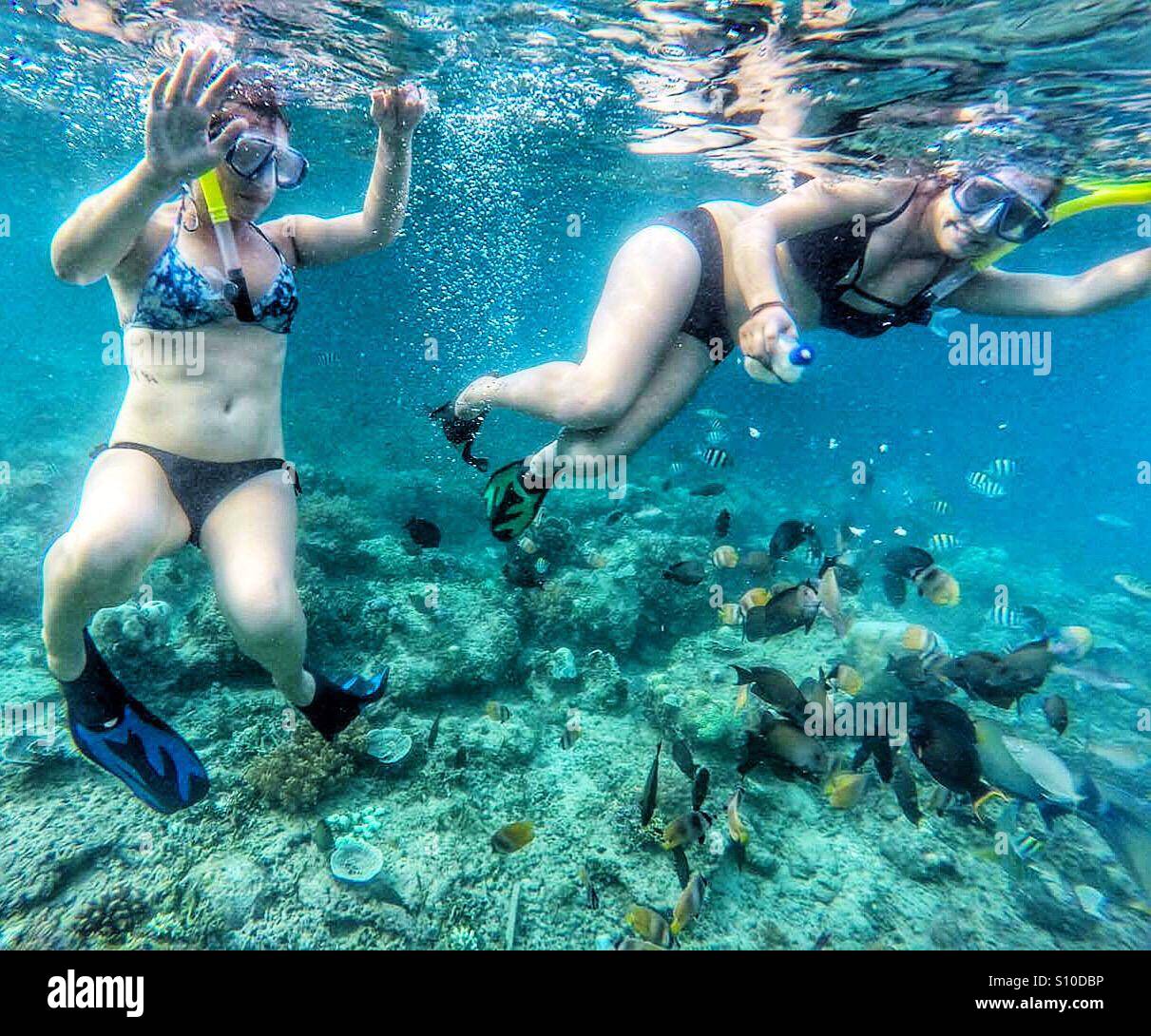 Schnorcheln in Bali. Stockfoto