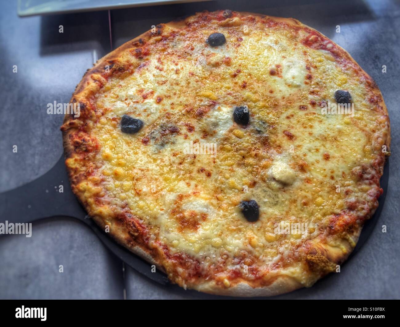 Vier Pizzakäse Stockfoto