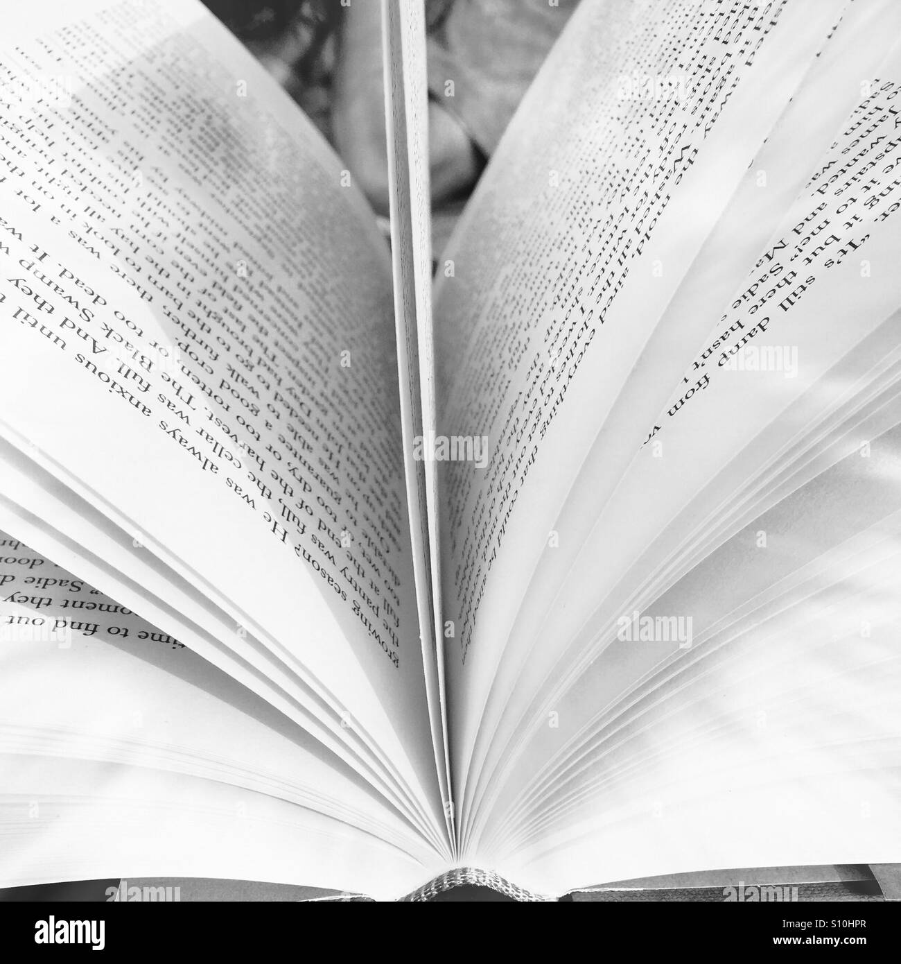 Offene Seiten eines Buches, die fächerförmig in schwarz und weiß Stockfoto