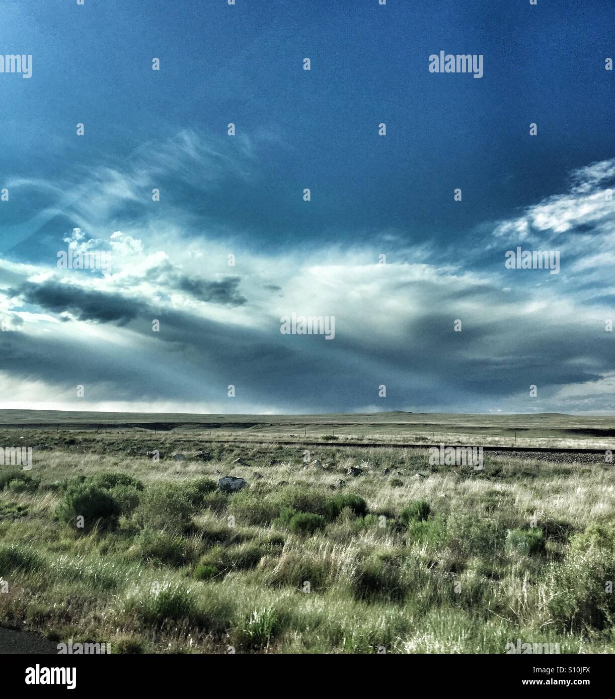 Panoramafahrt in den Sommerferien aus dem Autofenster, niedrige weiße Wolken offene Felder anzeigen Stockfoto