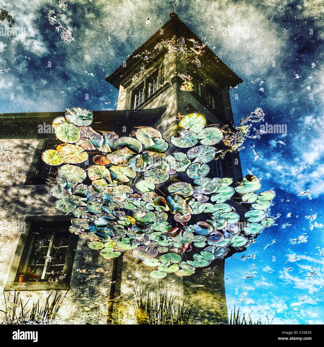 Schloss Bümpliz in der Nähe von Bern spiegelt sich in seinen Wassergraben mit Seerosen - Smartphone-aufgenommenes Stockfoto