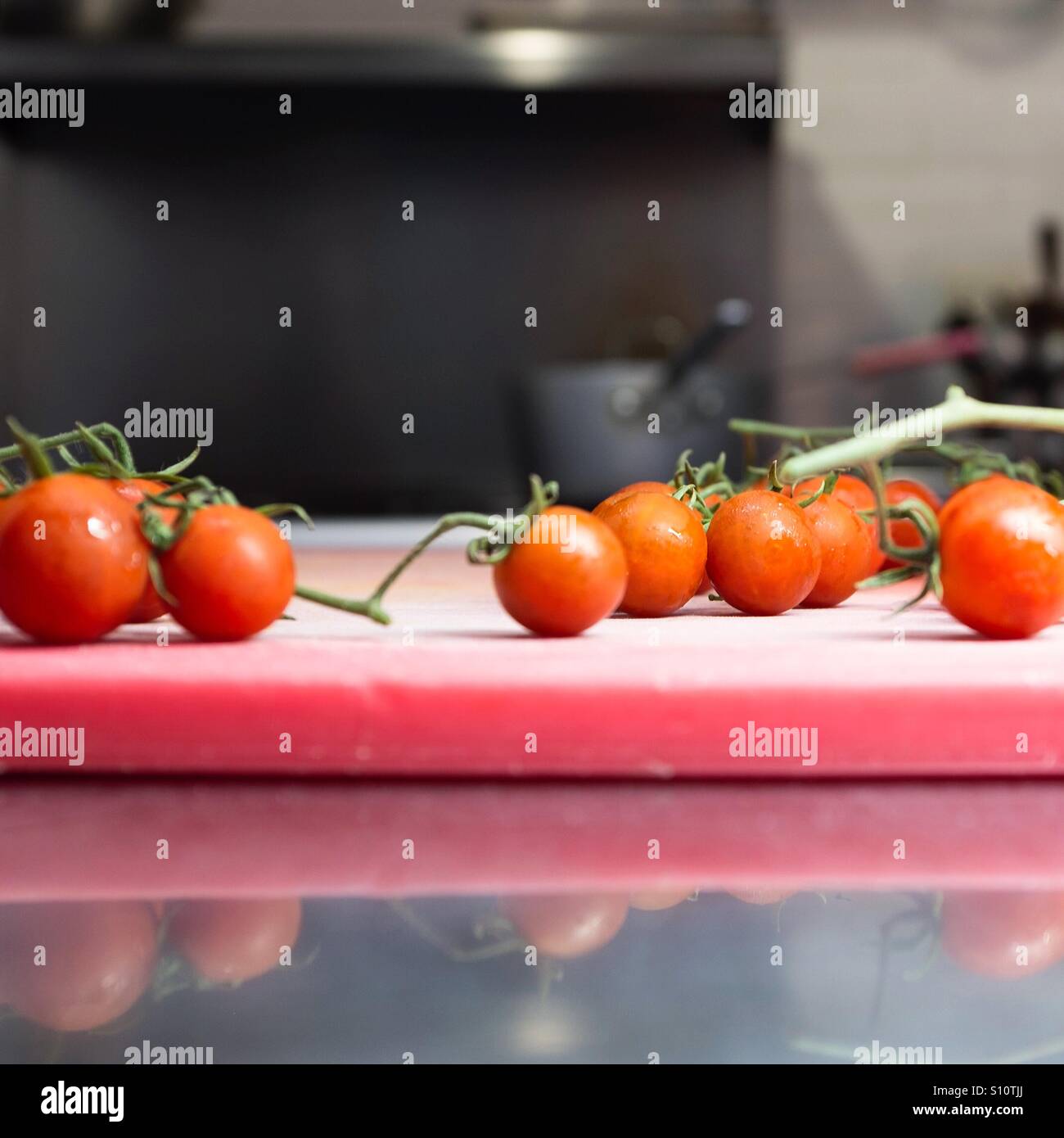 Cherry-Tomaten am Rebstock. - Smartphone-aufgenommenes Stockfoto