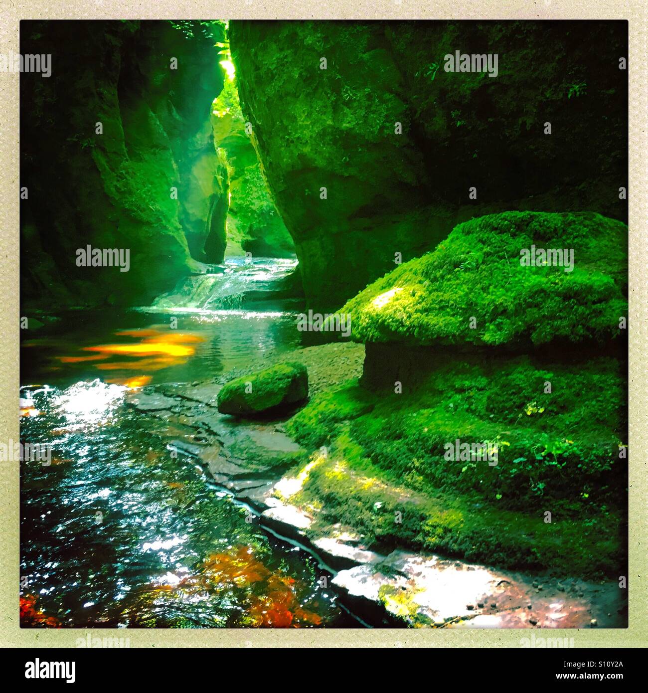 Finnich Glen auch bekannt als der Teufel-Kanzel in der Nähe von Killearn Schottland Stockfoto