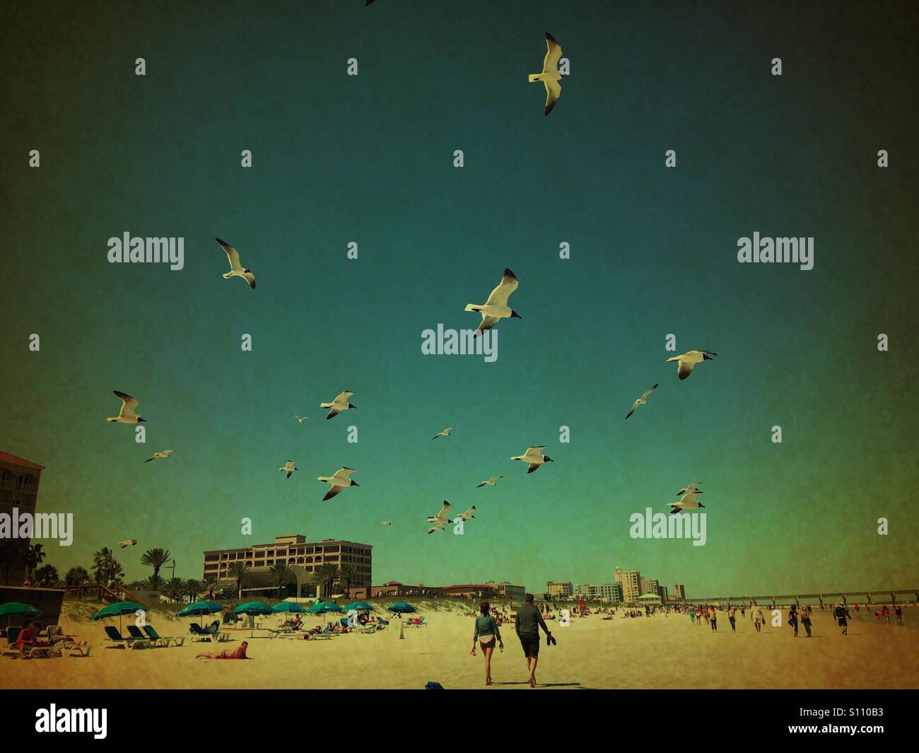 Lachen Möwen fliegen overhead in Jacksonville Beach, Florida, USA. - Smartphone-aufgenommenes Stockfoto