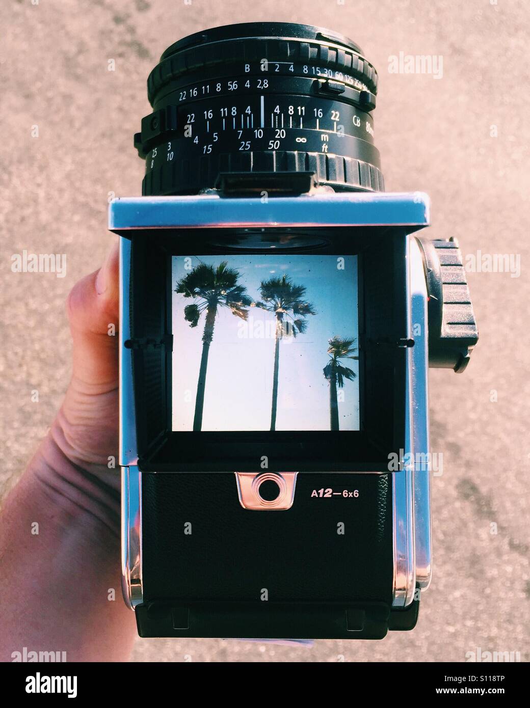 Eine obenliegende Aufnahme der eine Hand mit einer Hasselblad Mittelformat-Kamera mit Palmen in den Sucher. Stockfoto