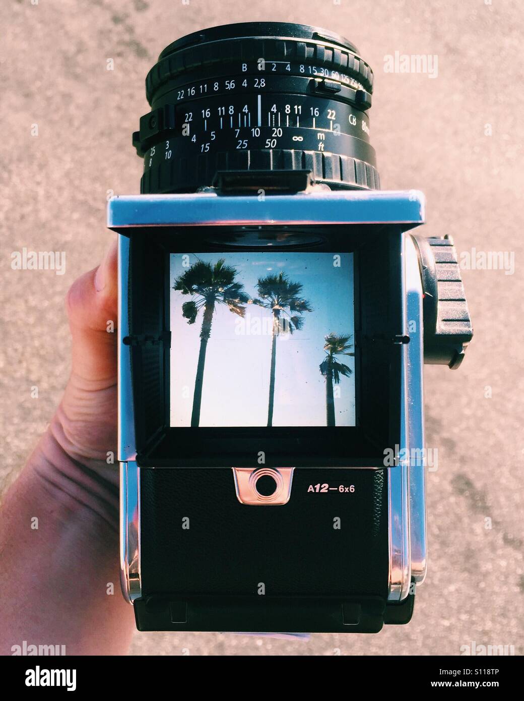 Eine obenliegende Aufnahme der eine Hand mit einer Hasselblad Mittelformat-Kamera mit Palmen in den Sucher. - Smartphone-aufgenommenes Stockfoto