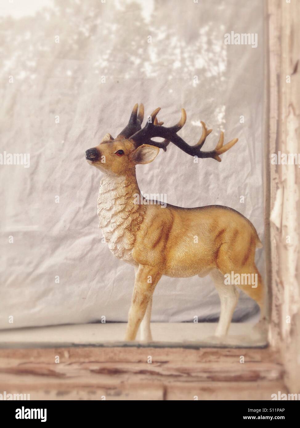 Plastikspielzeug Hirsch in einem Fenster hinter Glas Stockfoto