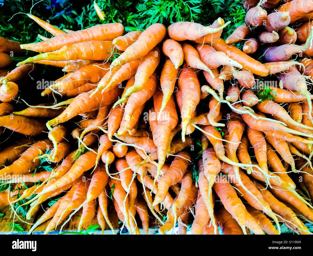 Bauernhof, frischen, organischen - Smartphone-aufgenommenes Stockfoto