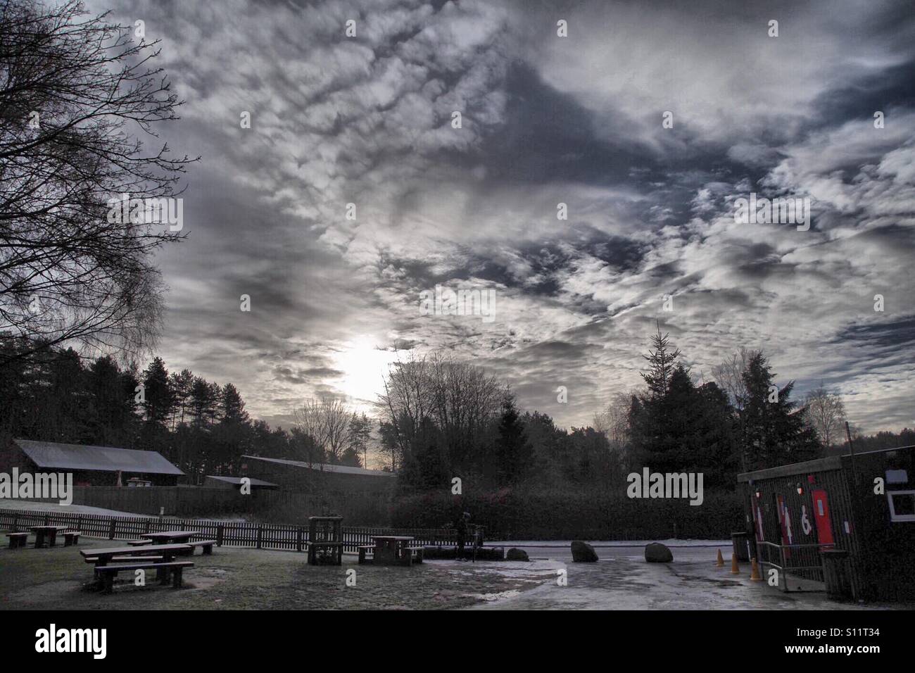 Winter am Morgen Stockfoto