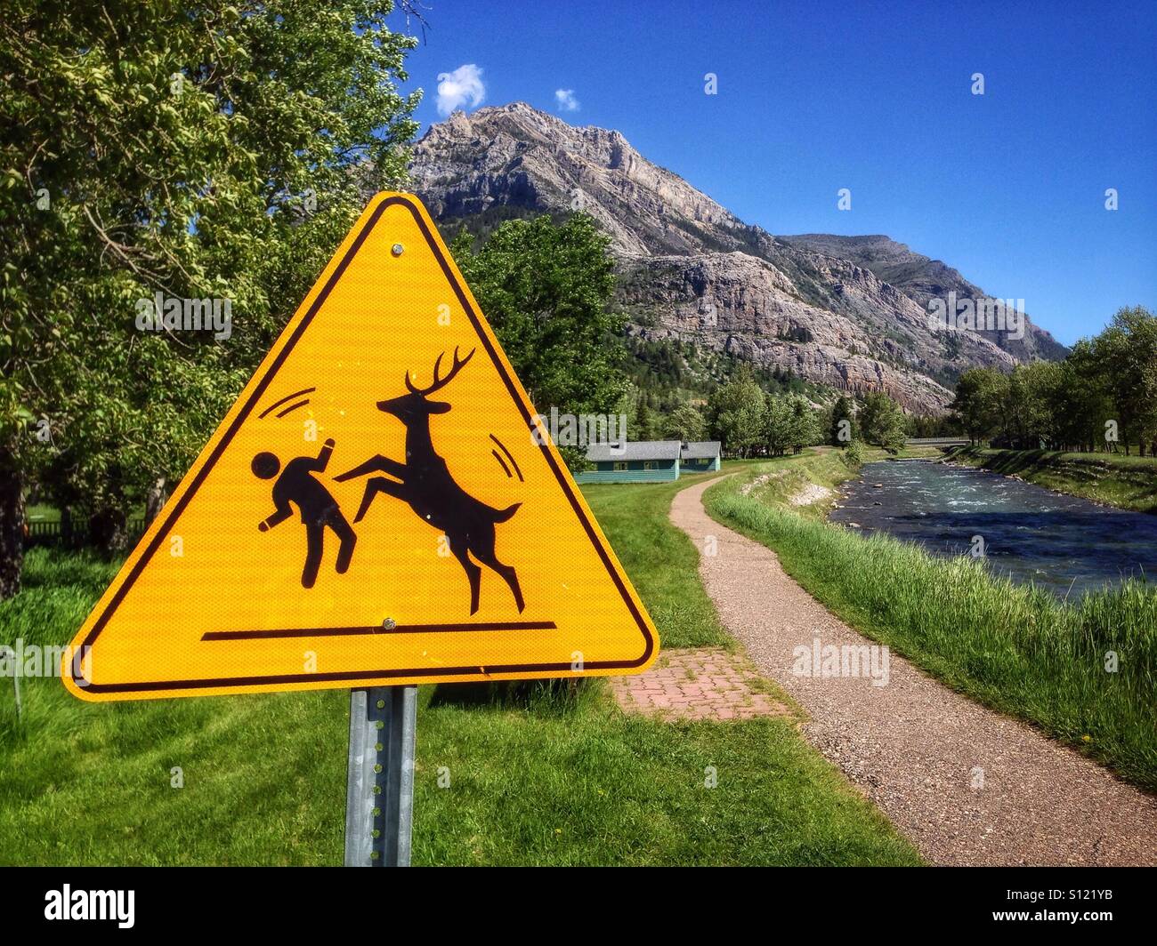 Lustige Schild Warnung vor aggressiven Hirsch in Waterton Lakes Nationalpark, Alberta, Kanada. - Smartphone-aufgenommenes Stockfoto