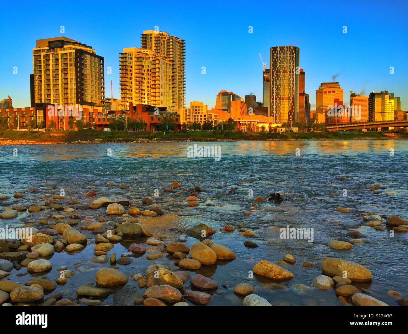 Die Innenstadt von Calgary und Bow River Stockfoto