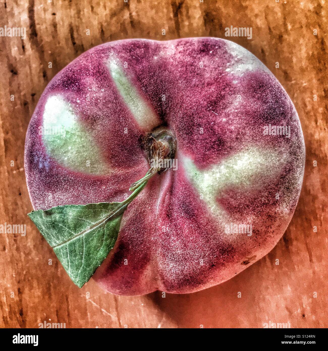 Saturn-Pfirsich, Prunus Persien var. Platycarpa auch bekannt als ein Donut Pfirsich oder Paraguayo Stockfoto