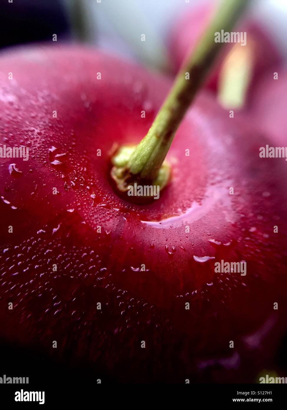 Nahaufnahme einer süßen Kirsche - Smartphone-aufgenommenes Stockfoto