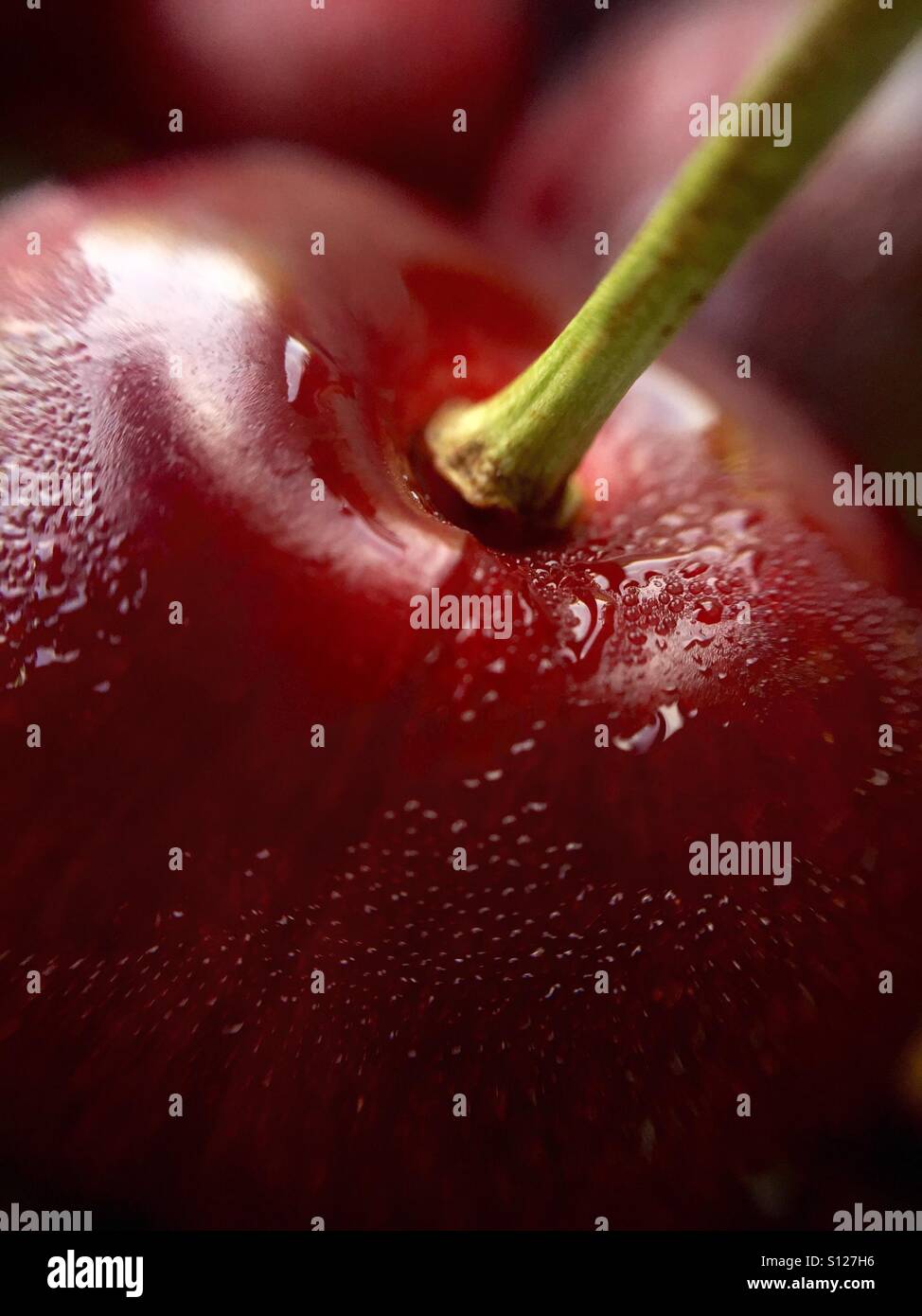 Sweet Cherry hautnah - Smartphone-aufgenommenes Stockfoto