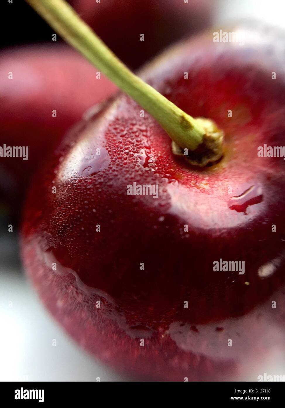 Nahaufnahme einer reifen roten Süßkirsche - Smartphone-aufgenommenes Stockfoto