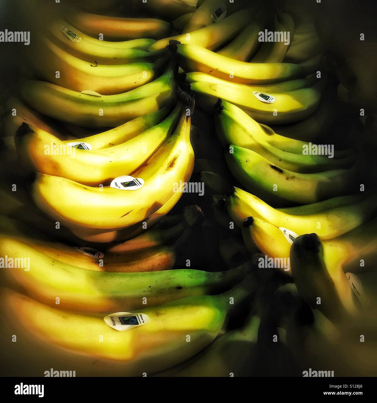 Fair-Trade-Bananen am Supermarktregal - Smartphone-aufgenommenes Stockfoto