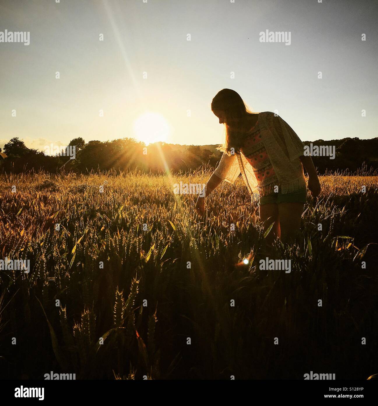Heaverham, Kent, UK. Mädchen im Weizenfeld in der warmen Abendsonne flanieren. Stockfoto