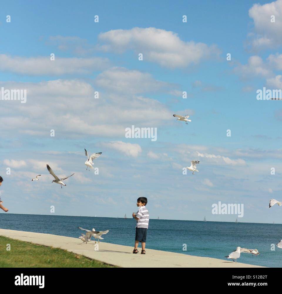 Kleiner Junge spielt entlang des Sees mit Vögel. Stockfoto