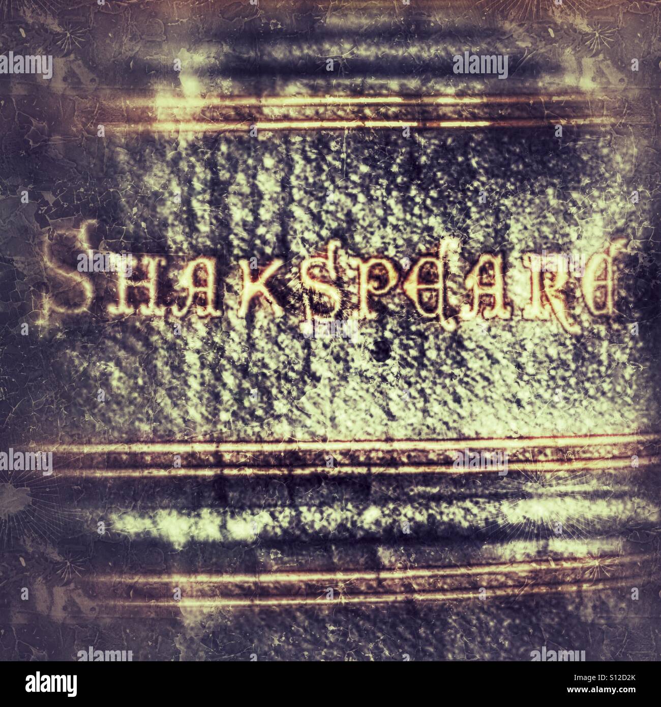 Shakespeare, Nahaufnahme von antiken Buchrücken. Stockfoto