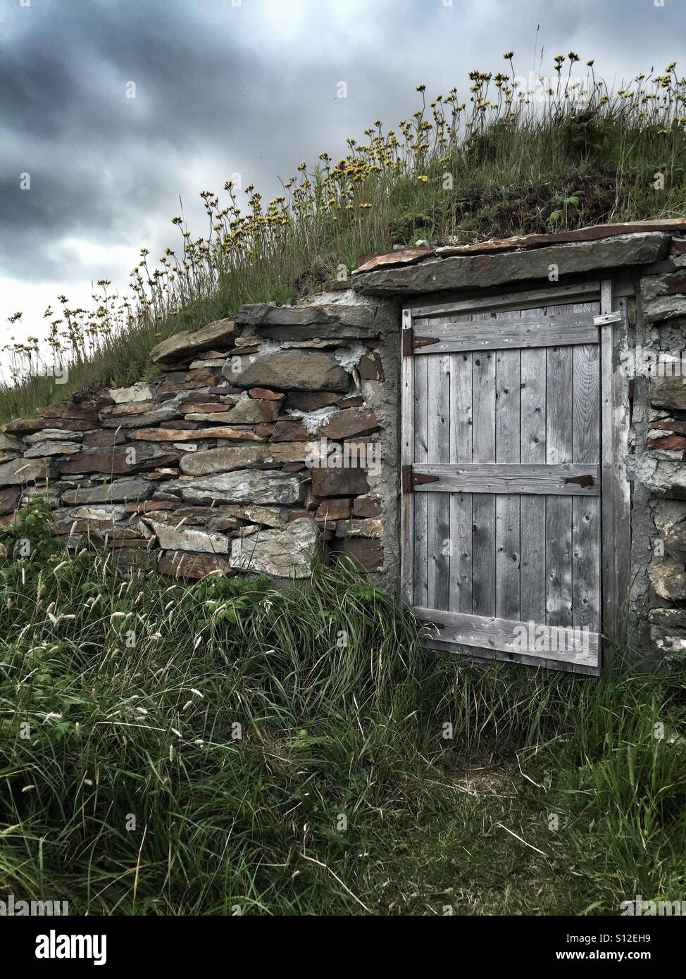 Ein Root-Keller unter düsteren Himmel. - Smartphone-aufgenommenes Stockfoto