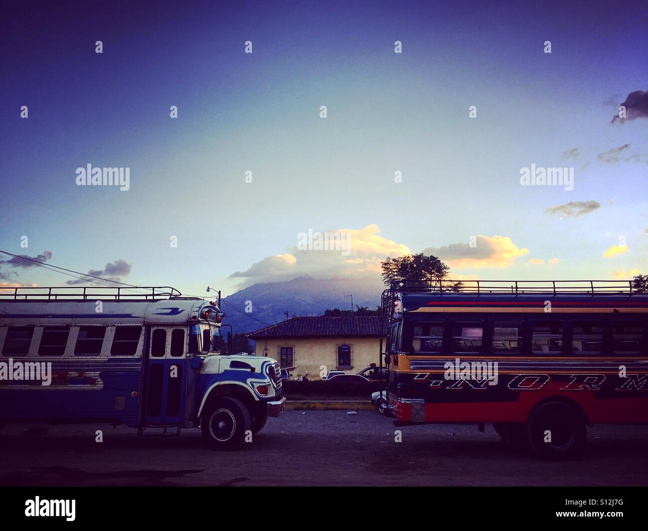 Huhn Busse vor Agua Vulkan bei Sonnenuntergang, Antigua, Guatemala Stockfoto