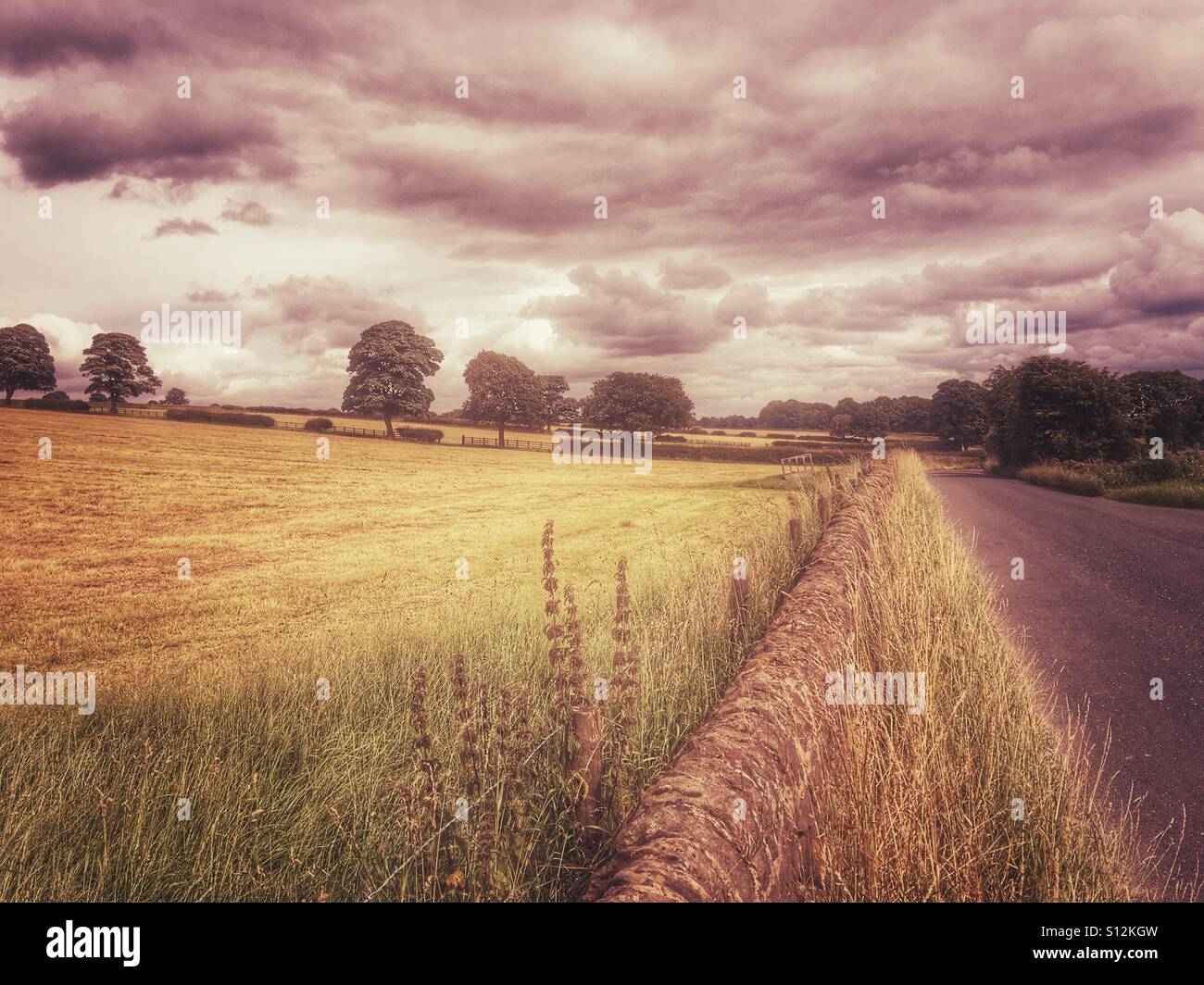 Typische West Yorkshire Landschaft Szene, auf Hügeln in der Nähe von Guiseley, Leeds, England, UK. Stockfoto