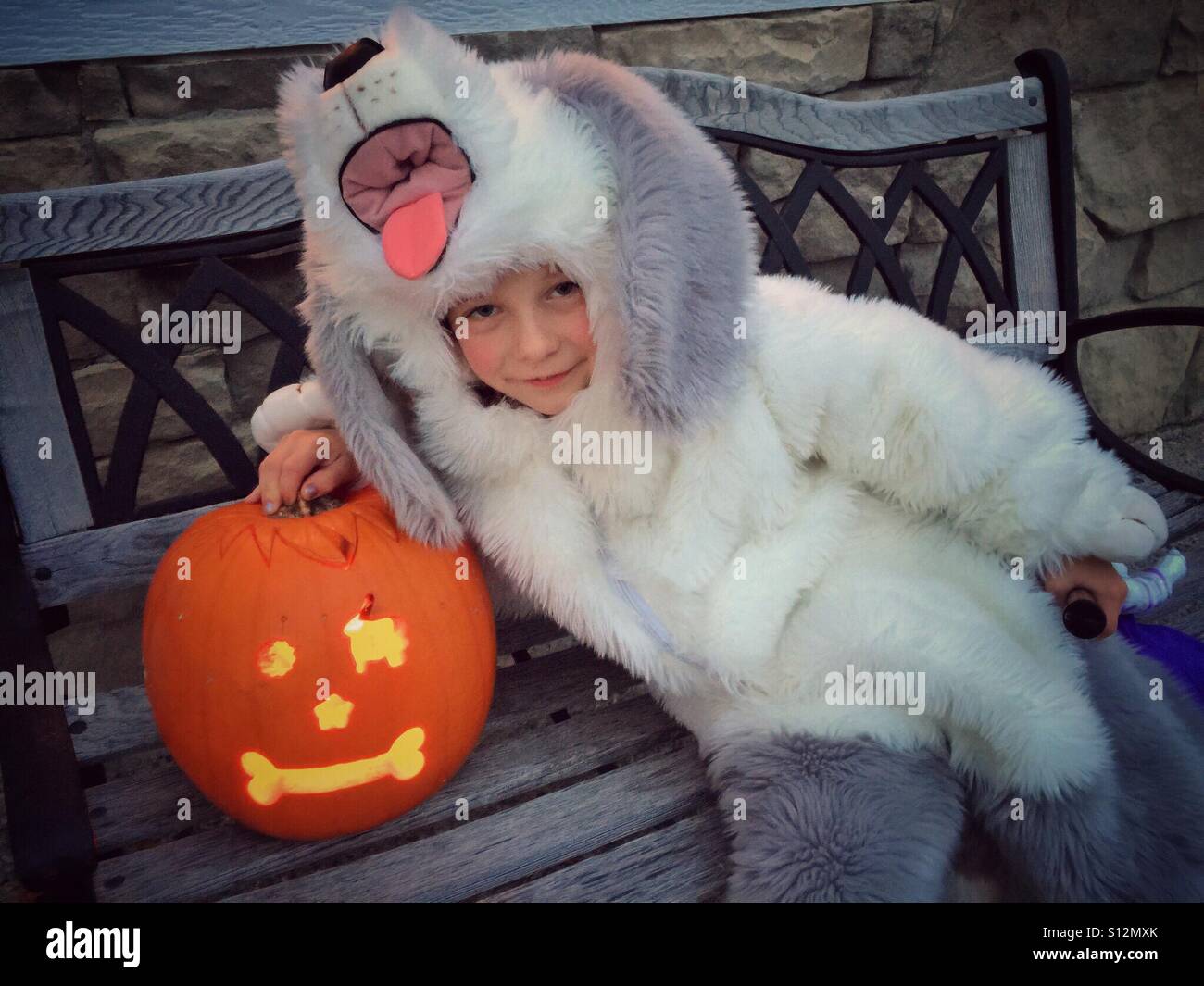 Ein Kind verkleidet als ein Schäferhund posiert mit einem Jack-o-Laterne vor treating. - Smartphone-aufgenommenes Stockfoto
