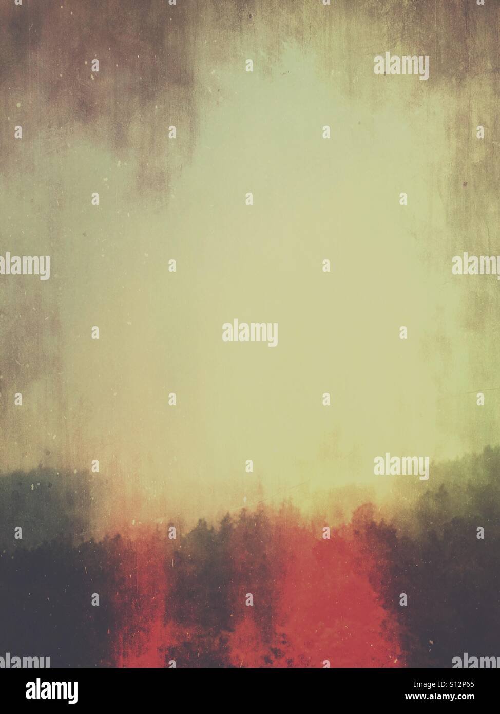 Mystischen Wald - Smartphone-aufgenommenes Stockfoto