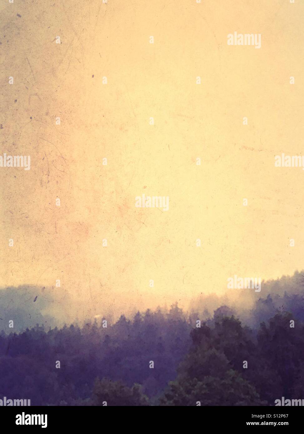 Mystischen Wald - Smartphone-aufgenommenes Stockfoto