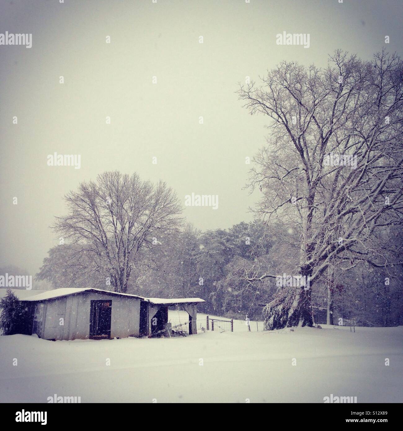 Snowpocalypse. Stockfoto