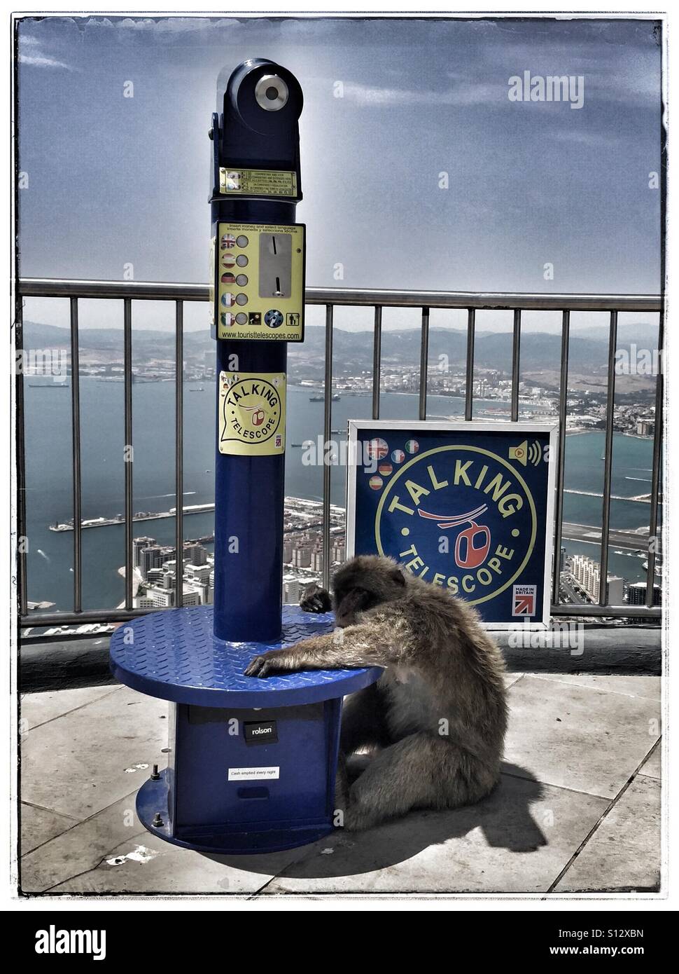 Barbary Macaque Affen sackte auf Basis des Teleskop an der Spitze des Felsens von Gibraltar im Gespräch Stockfoto