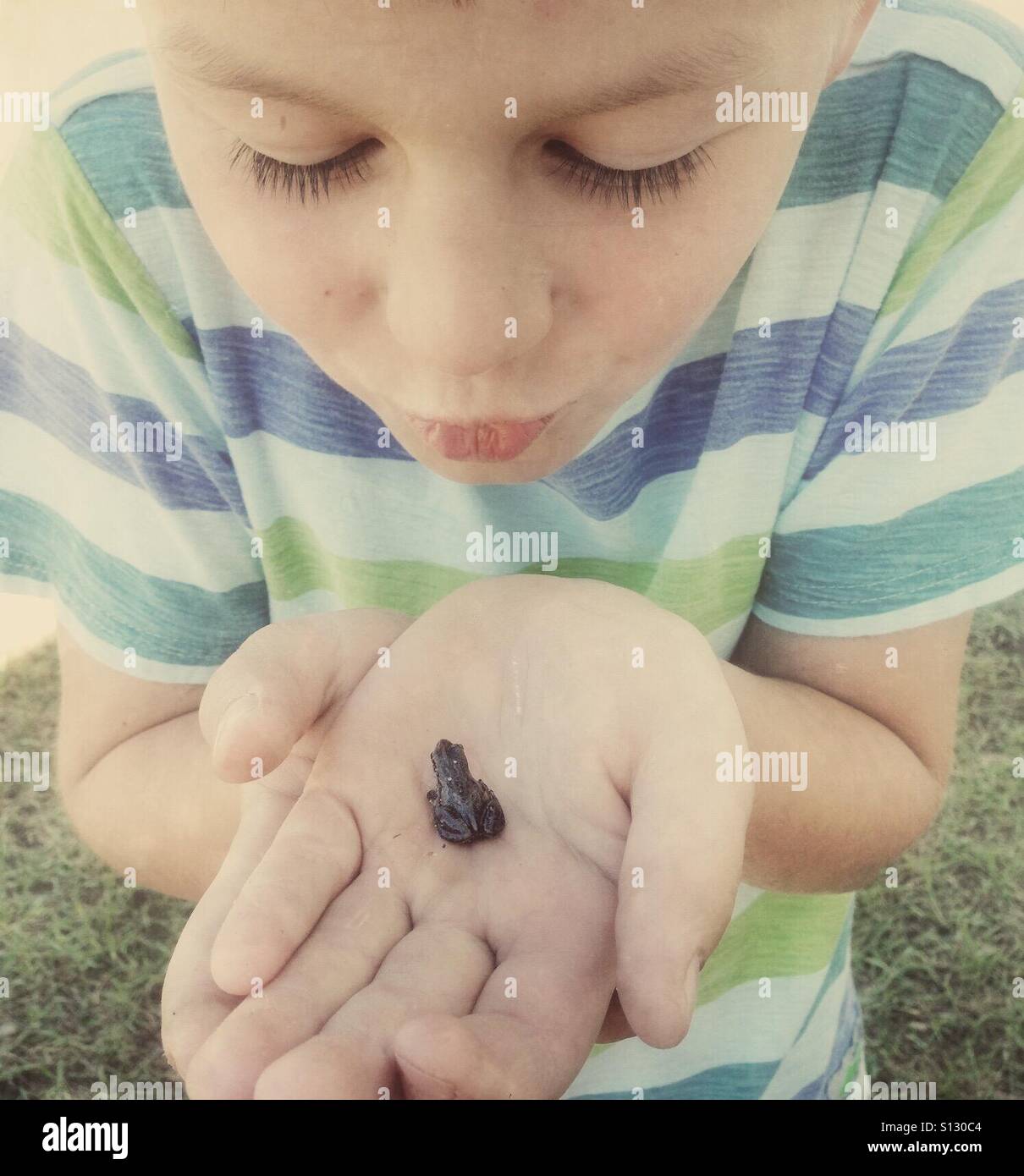 Ein Kind vorgibt, einen kleinen Frosch zu küssen. Stockfoto