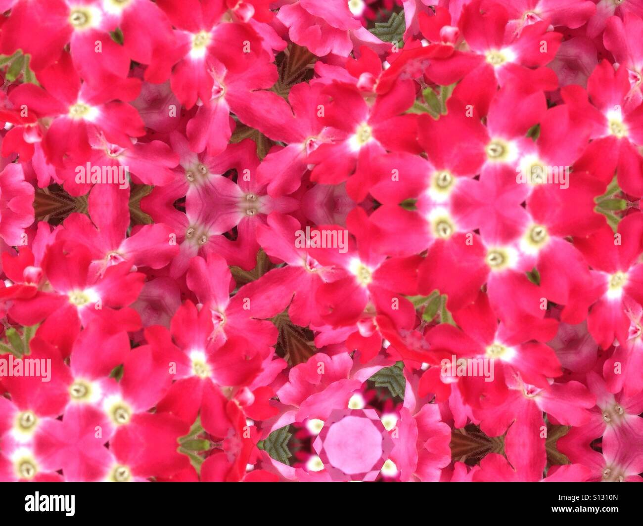 Kaleidoskop-Muster von Eisenkraut Blumen Stockfoto