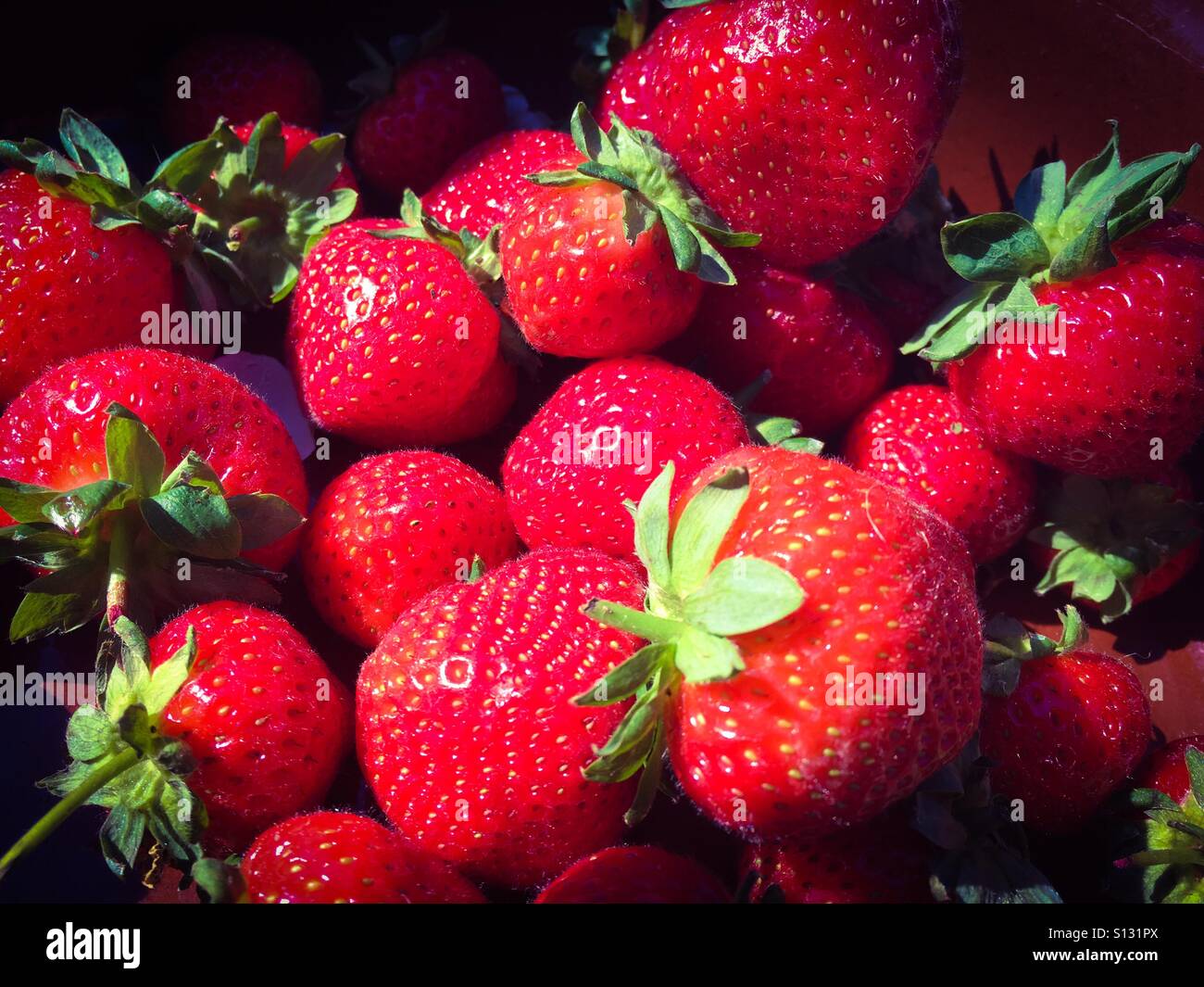 Eine Schüssel Erdbeeren warten darauf, gegessen zu werden. - Smartphone-aufgenommenes Stockfoto