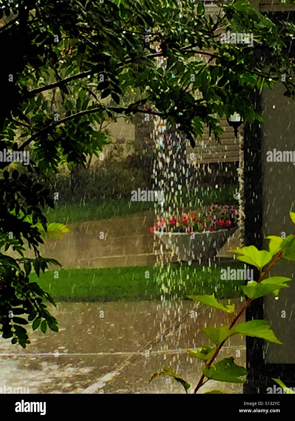 Regentag-Fotografie - Smartphone-aufgenommenes Stockfoto