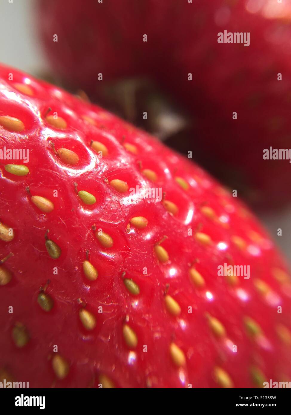 Erdbeere hautnah in natürlichem Licht - Smartphone-aufgenommenes Stockfoto