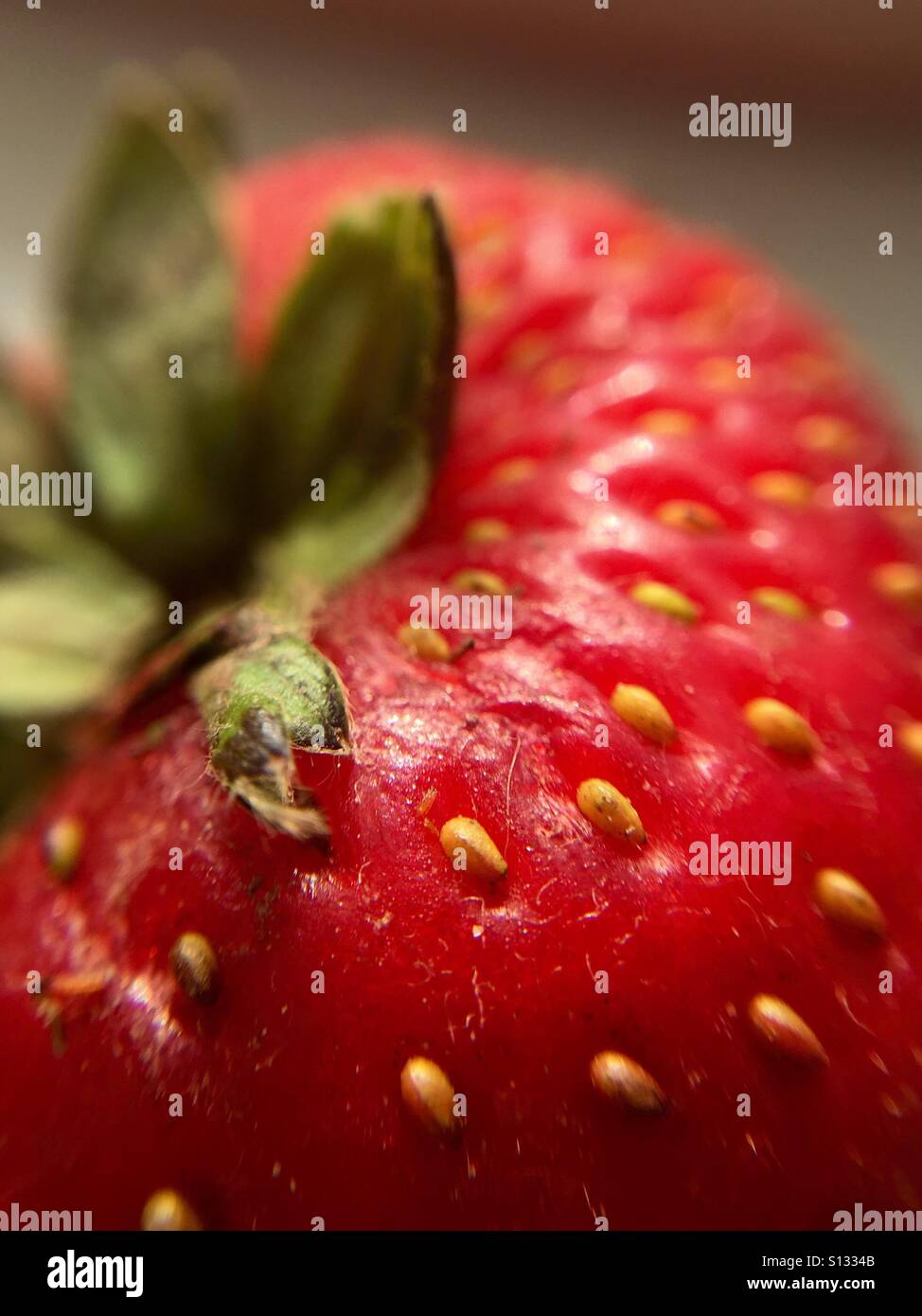 Erdbeere hautnah - Smartphone-aufgenommenes Stockfoto