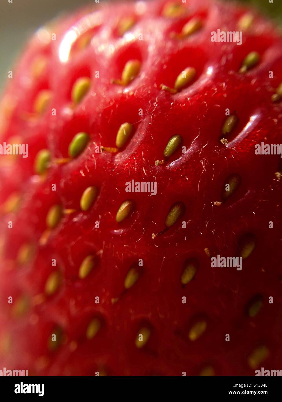 Nahaufnahme einer Erdbeere - Smartphone-aufgenommenes Stockfoto