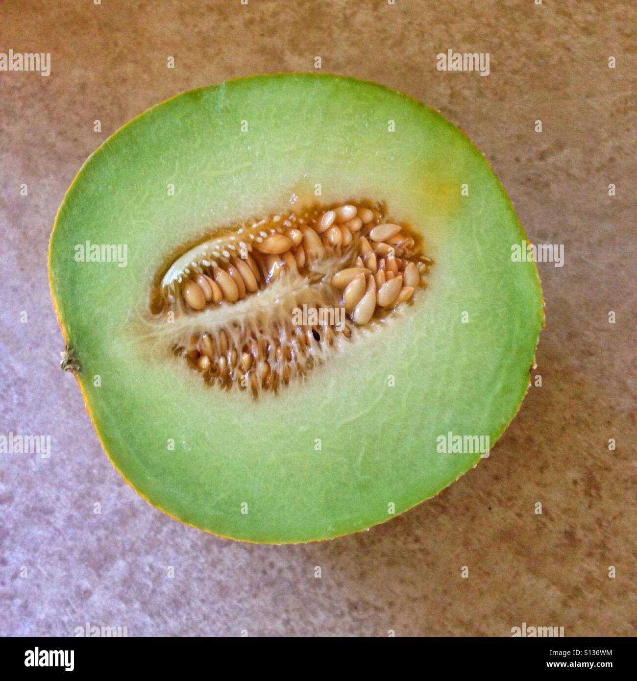 Galla Mellon halbiert - Smartphone-aufgenommenes Stockfoto