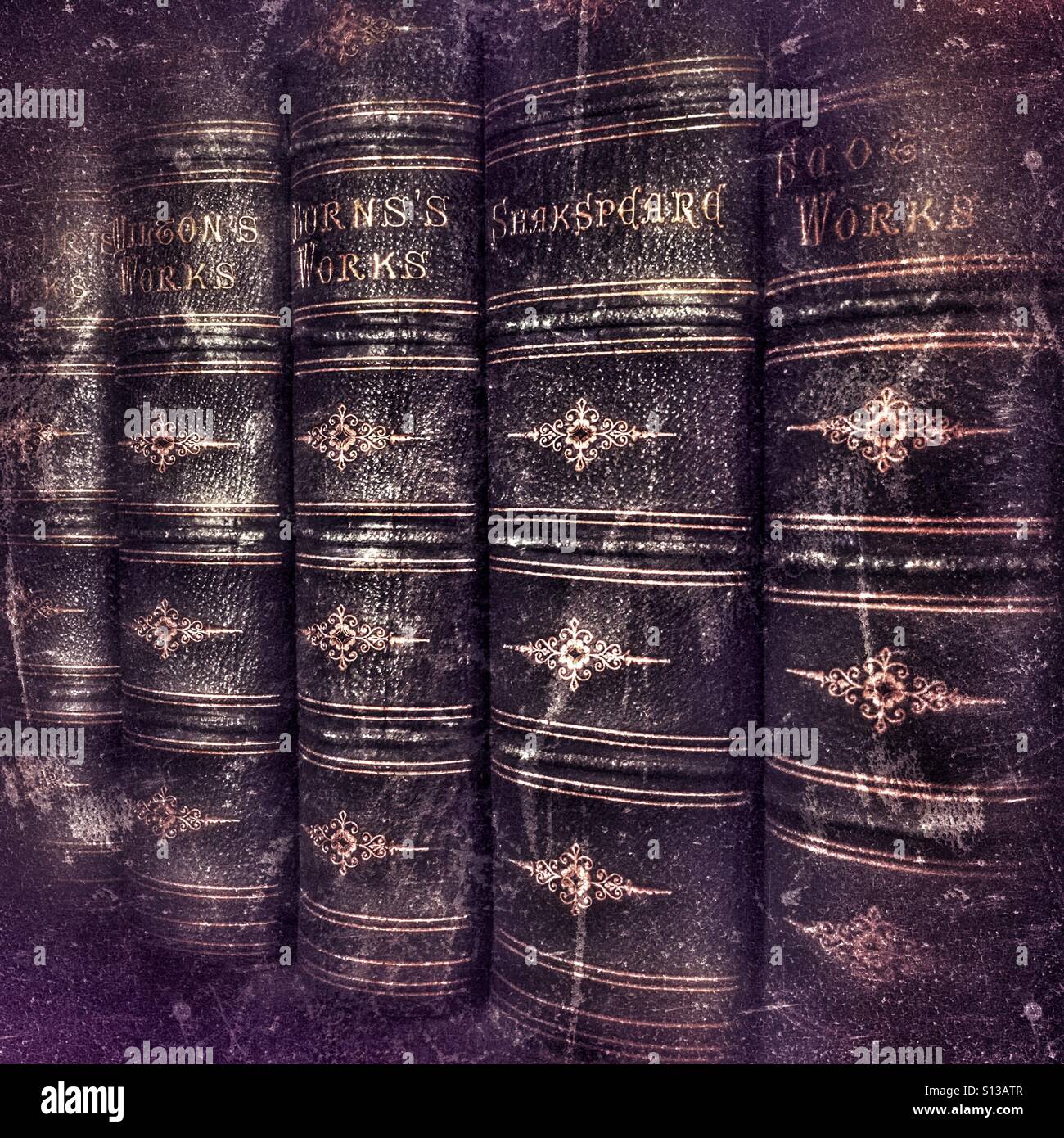 Antiquarische Bücher in einem Regal Stockfoto